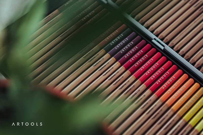 Entenda as diferenças entre lápis de cor profissional e comum
